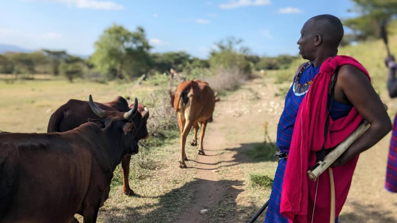 Sekenani Leruk Maasai Mara Camp酒店 外观 照片